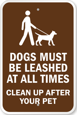Dogs Allowed on Leash and Accompanied